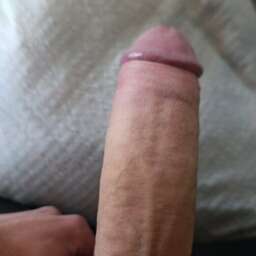 b208a1d50a31ec4f867d46d553bf7213.jpg